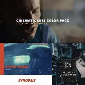 BuffNerds LUTs & Business Guide Bundle<