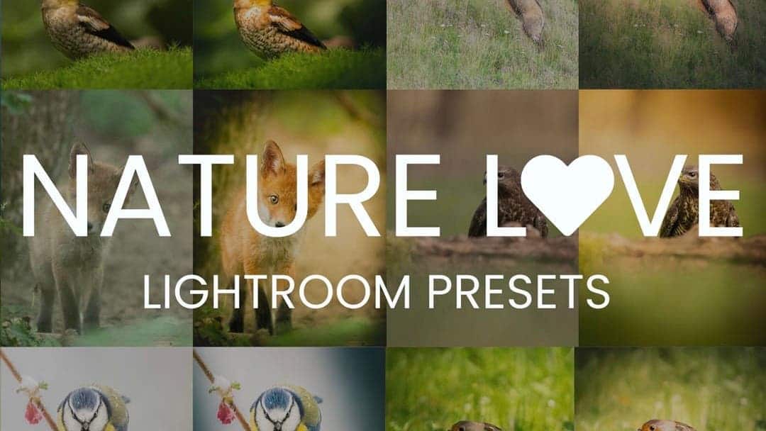 Nature Love Presets<