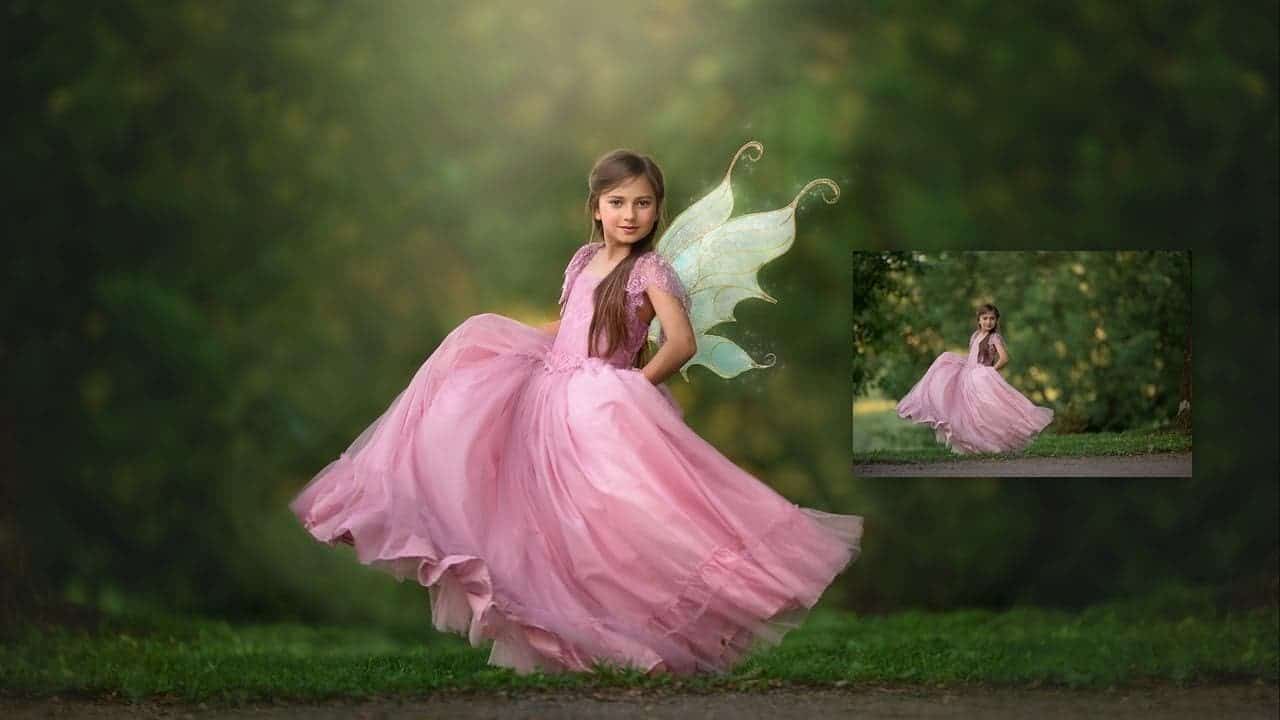 Fairy Wing Overlay Collection<