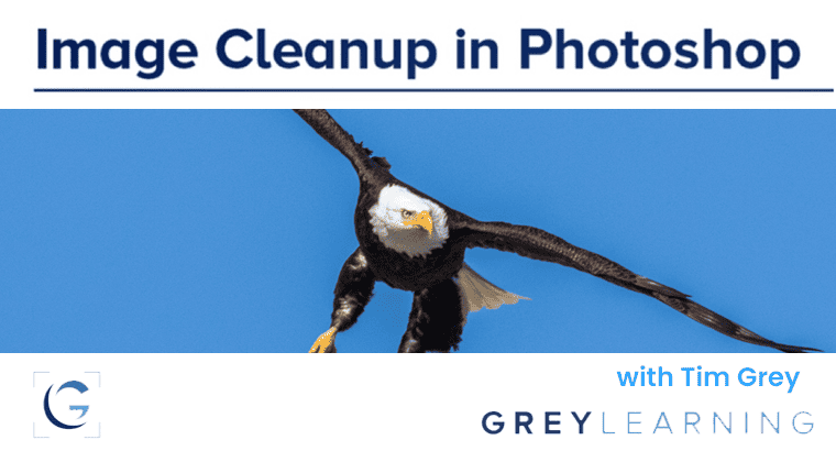 Image Cleanup in Photoshop<