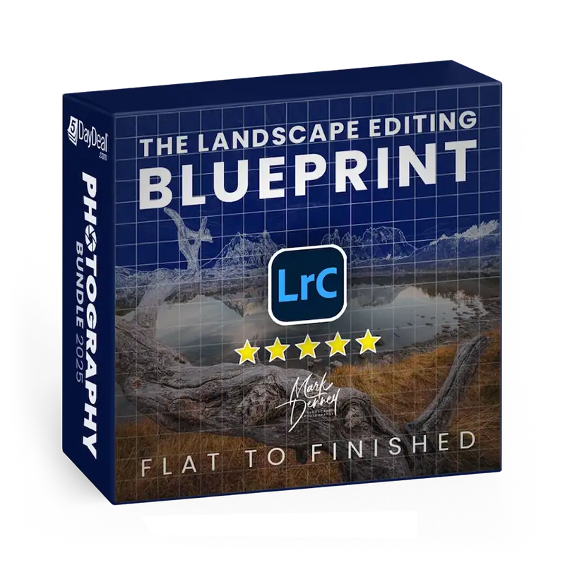 The Landscape Editing Blueprint<