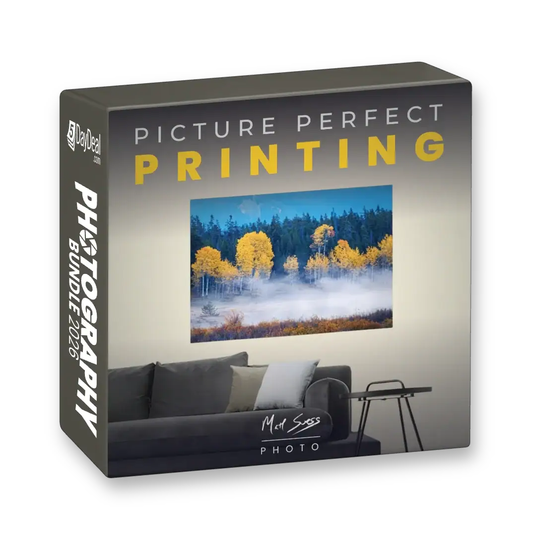 Picture Perfect Printing<