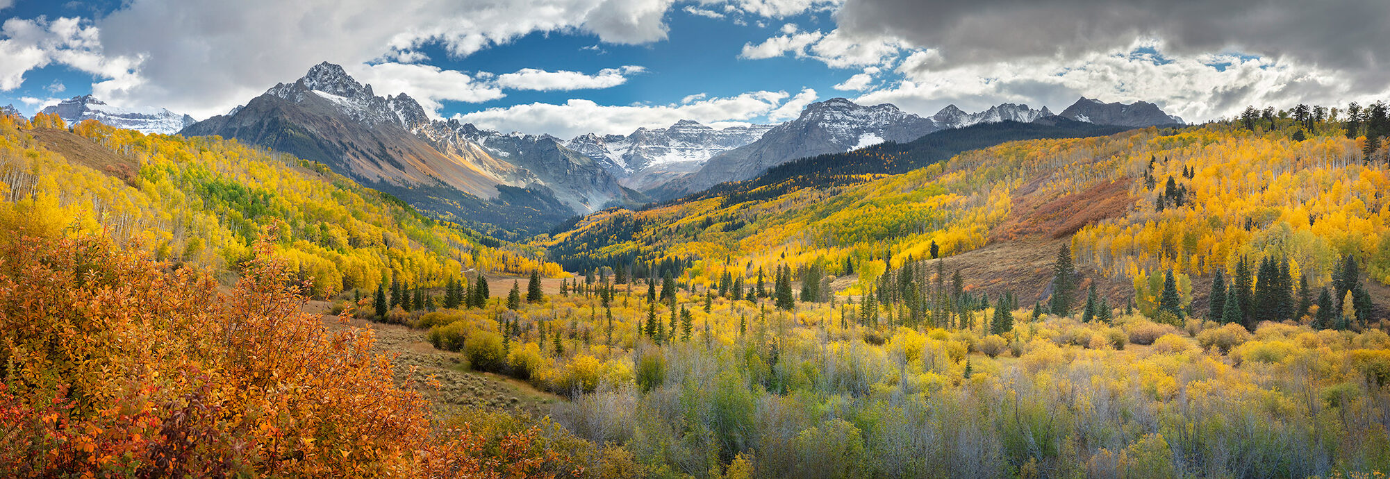 A valley of golden aspen running up to snow-dusted peaks in the San Juan Mountains