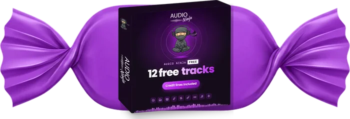 Audio Ninja 12 free music tracks for your videos